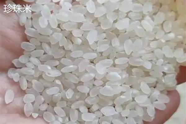 珍珠米和长粒香的区别,分布、形状不同