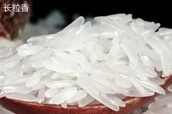 珍珠米和长粒香的区别,分布、形状不同
