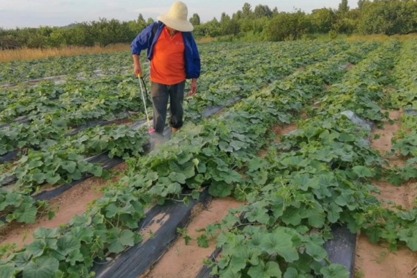 怎么使用唑醚代森联,根据防治对象决定兑水量
