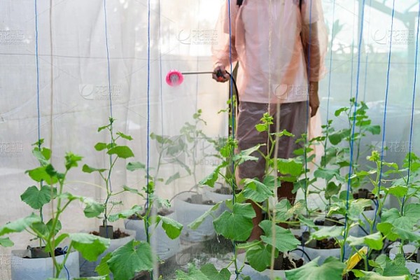 怎么使用唑醚代森联,根据防治对象决定兑水量