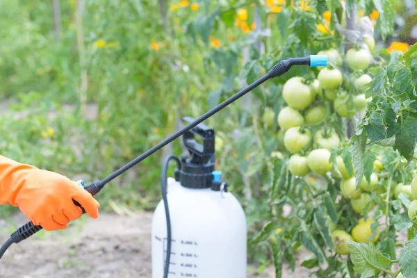 怎么使用唑醚代森联,根据防治对象决定兑水量