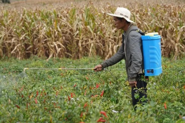 怎么使用唑醚代森联,根据防治对象决定兑水量