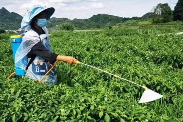 怎么使用唑醚代森联,根据防治对象决定兑水量