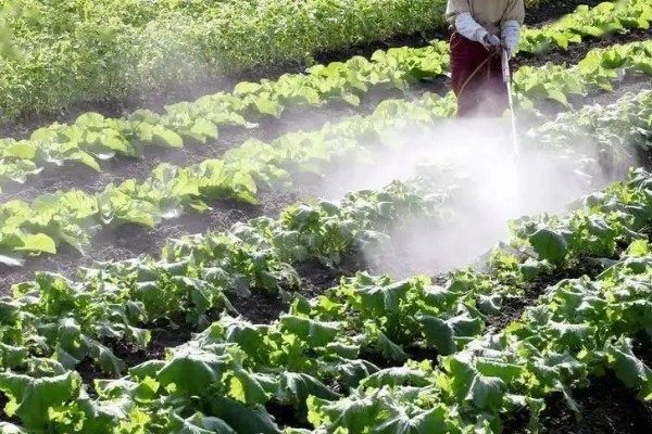 怎么使用唑醚代森联,根据防治对象决定兑水量