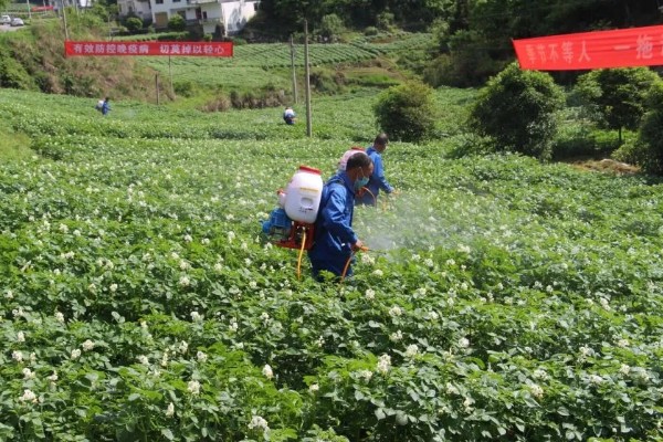 怎么使用唑醚代森联,根据防治对象决定兑水量