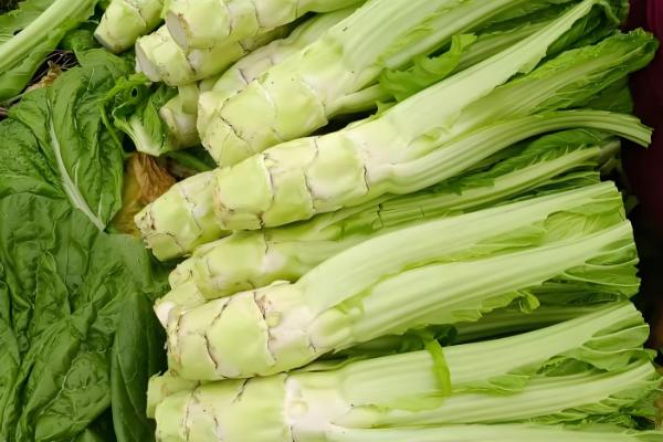 芥菜的种植时间,南方地区可在7月份开始播种