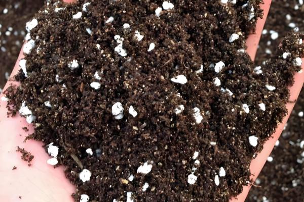 威百亩如何使用,稀释至70倍左右方可使用