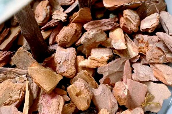 松树皮种兰花要加土吗,需加土