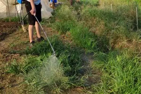 使用生物农药需注意什么，气温为25-30℃时药效较好