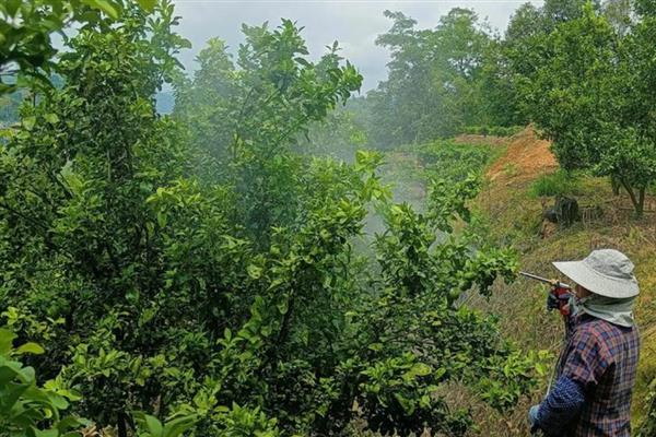 使用生物农药需注意什么，气温为25-30℃时药效较好