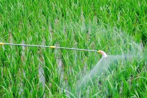 使用生物农药需注意什么，气温为25-30℃时药效较好