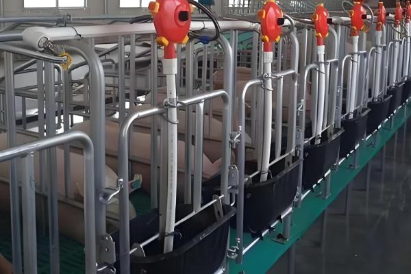 北方养猪场冬天怎么取暖,可以使用煤炉取暖