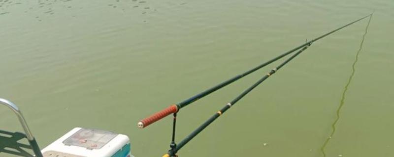 十年情鱼竿简介，属于美人鱼旗下经典鱼竿