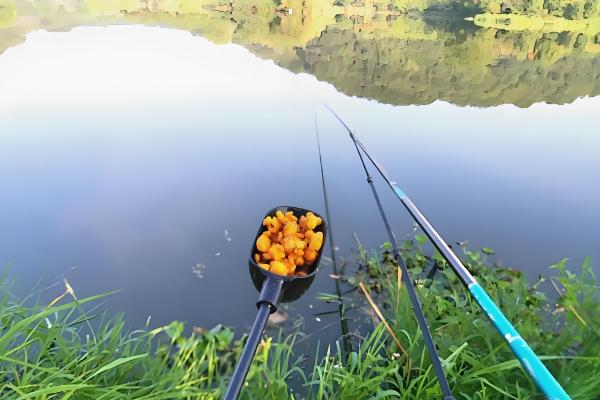钓青鱼如何用螺蛳打窝,可将螺蛳与窝料一起抛投至钓点