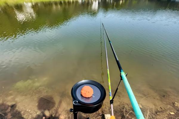 钓青鱼如何用螺蛳打窝,可将螺蛳与窝料一起抛投至钓点