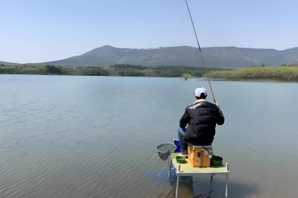 钓青鱼如何用螺蛳打窝,可将螺蛳与窝料一起抛投至钓点