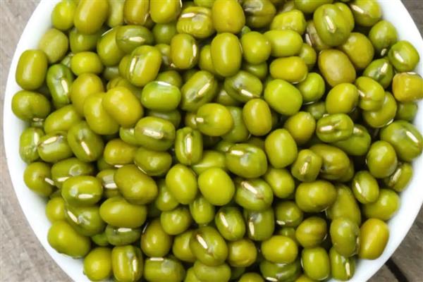 哪种豆可以长出豆芽，传统豆芽是从大豆中长出