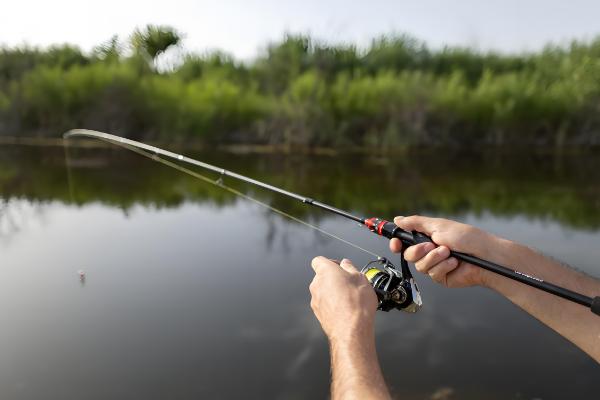 钓青鱼如何用螺蛳打窝,可将螺蛳与窝料一起抛投至钓点