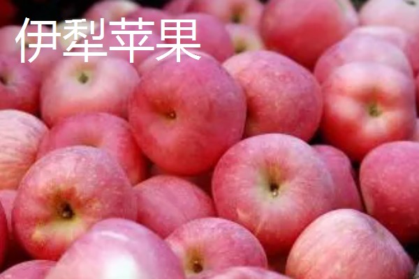 新疆奎屯市的特产,有伊犁苹果、斯尔玛克等