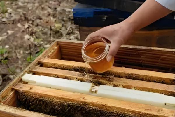 怎么饲喂越冬蜂群，先对强群补助饲喂再抽调蜜脾补充到弱群中