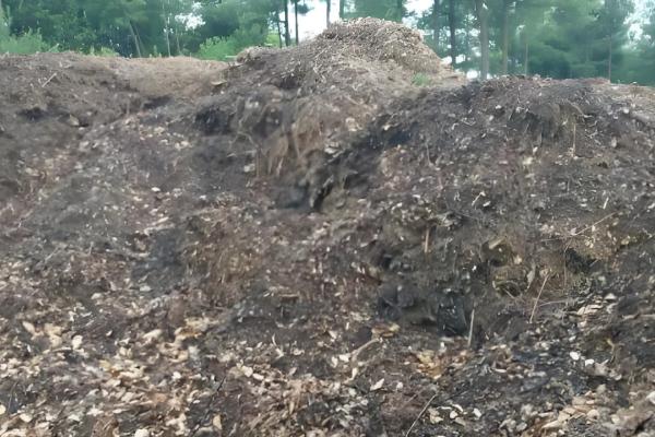 11月份兰花可以移盆吗，11月份可以移盆