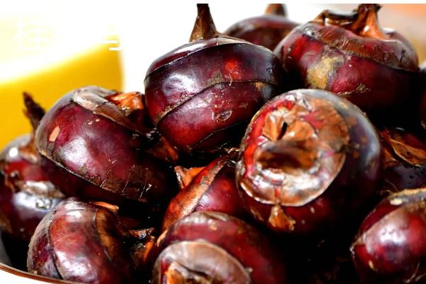 让马蹄变大的方法，施足农家肥和过磷酸钙作为基肥