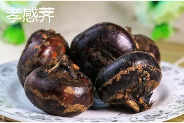 让马蹄变大的方法，施足农家肥和过磷酸钙作为基肥