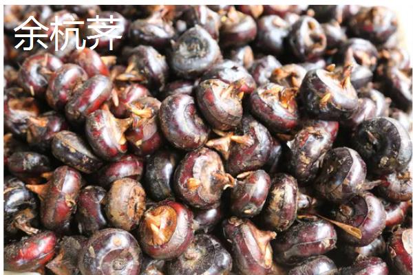 让马蹄变大的方法，施足农家肥和过磷酸钙作为基肥