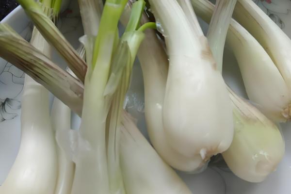 藠头是什么，是中国南方地区的一种蔬菜