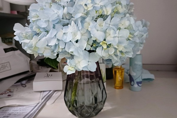 绣球花怎么分株,在早春进行为佳