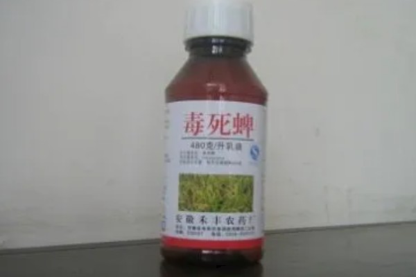 毒死蜱对玉米有药害吗，对玉米不会产生什么药害