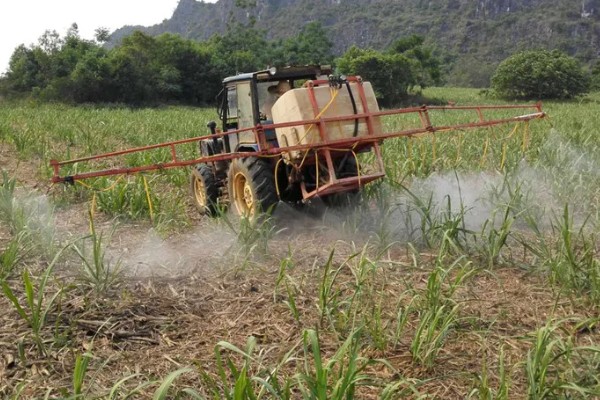 毒死蜱对玉米有药害吗，对玉米不会产生什么药害