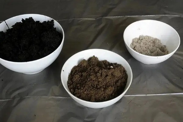 碧玉莲如何上盆,上盆前及时摘除干枯老叶