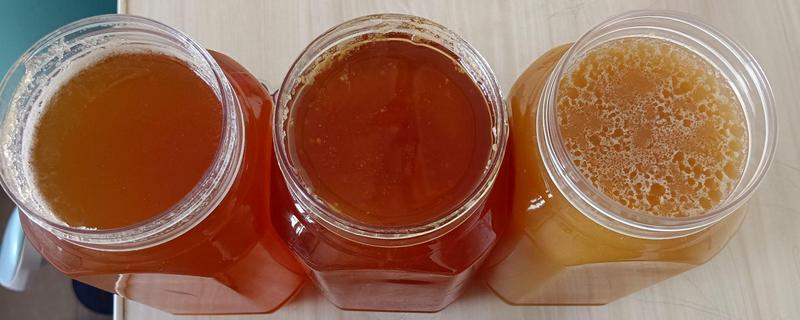 喂白糖产的蜂蜜会不会结晶，在低温环境中也会结晶成固体状