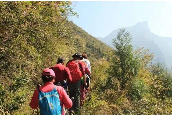 被蜜蜂蛰了是不是鸿运当头的征兆,属于迷信说法被蛰后应尽快处理