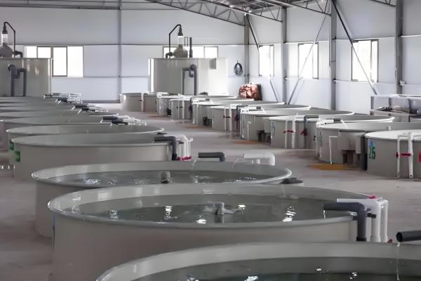 有哪些水产养殖的有害细菌,包含弧菌、链球菌等