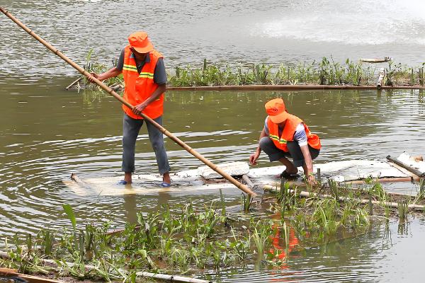 有哪些水产养殖的有害细菌,包含弧菌、链球菌等