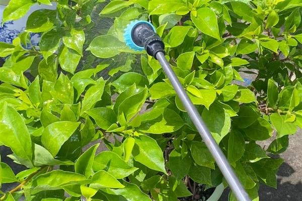 花盆内的小蜈蚣有没有危害，不会危害盆栽反而会捕食害虫