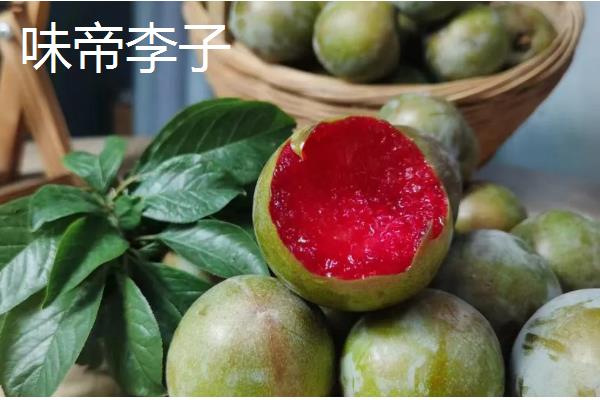 李子有什么早熟的优良品种，莫尔特李、蜂糖李、盖县李等品种的品质较好