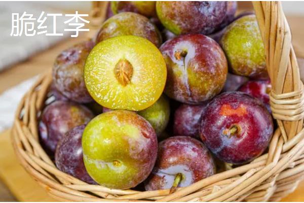 李子有什么早熟的优良品种，莫尔特李、蜂糖李、盖县李等品种的品质较好