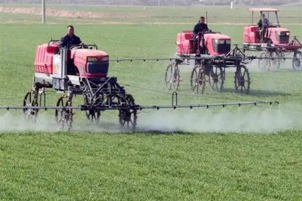 芸苔素的作用,能起到促进根系生长、提高结实率等效果