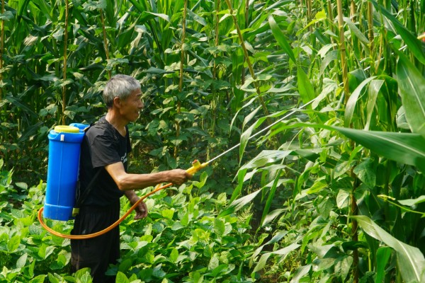 短稳杆菌杀虫剂有什么特点，使用后没有安全间隔期的要求