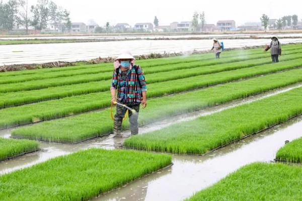 短稳杆菌杀虫剂有什么特点，使用后没有安全间隔期的要求