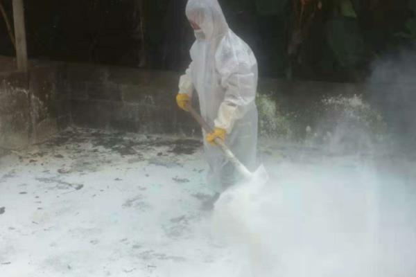 半番鸭怎么养殖，1-5日龄让它们自由采食