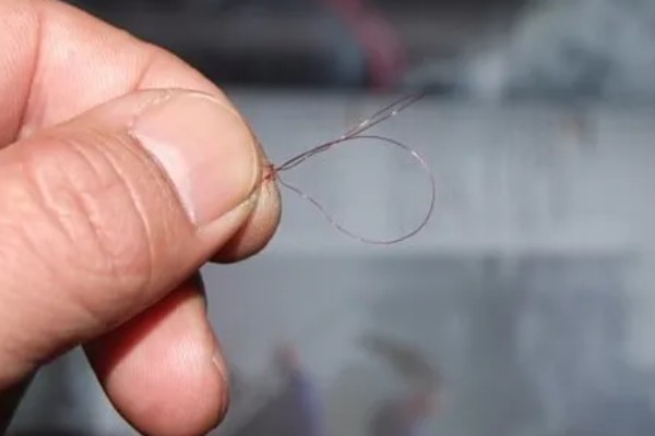 鱼线绑鱼竿的方法，按照以下步骤逐一进行