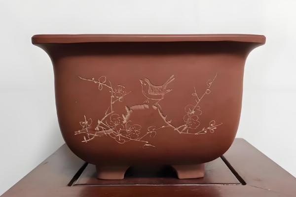 养殖兰花的方法，春秋季节每隔半个月追肥一次