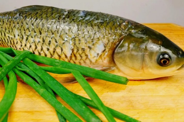 草鱼的价格，一斤需要6-15元左右