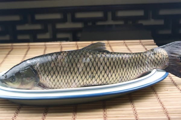 草鱼的价格，一斤需要6-15元左右