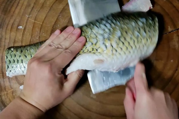 草鱼的价格，一斤需要6-15元左右