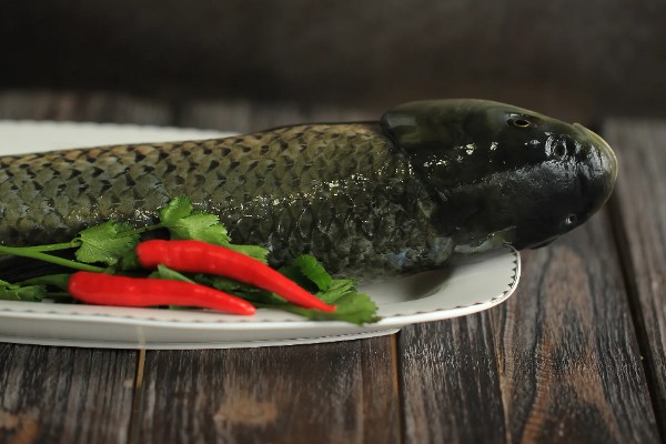 草鱼的价格，一斤需要6-15元左右